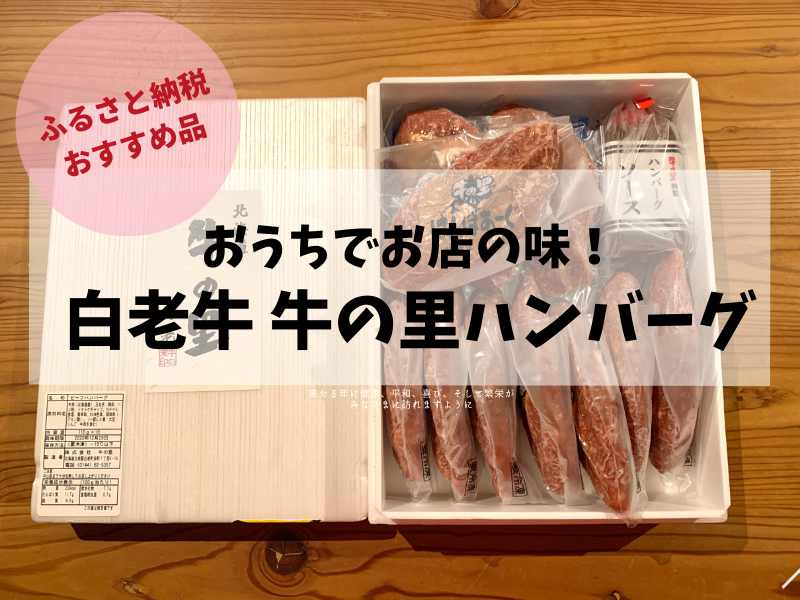 白老町ふるさと納税返礼品「牛の里ビーフハンバーグ」口コミレビュー